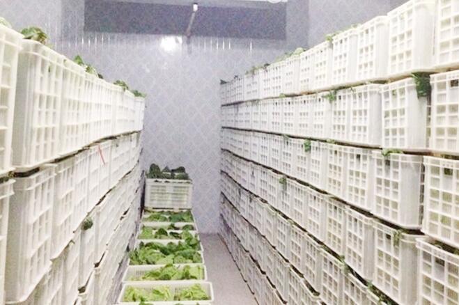 蔬菜保鮮冷庫存儲技術及保鮮期限，由国产蜜桃在线观看廠家來解釋